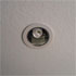 EcoSmart Dimmable CFL Bulb